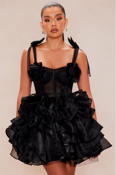 Ярусна сукня міні Rosaria з 3D квітковими аплікаціями