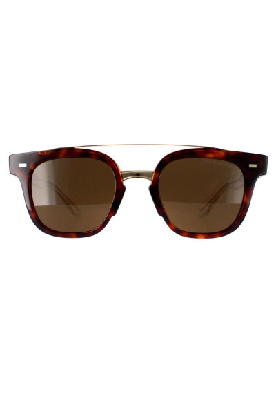 Круглий золотий черепахи коричневий коричневий 1297